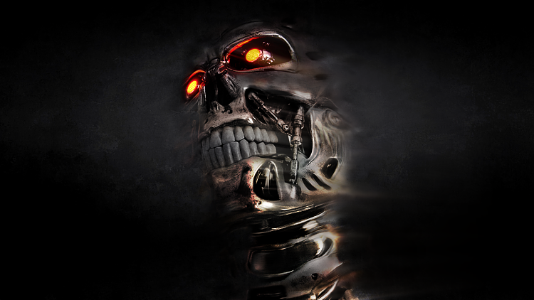 Custom Made Wallpapers-terminator-wallpaper.png