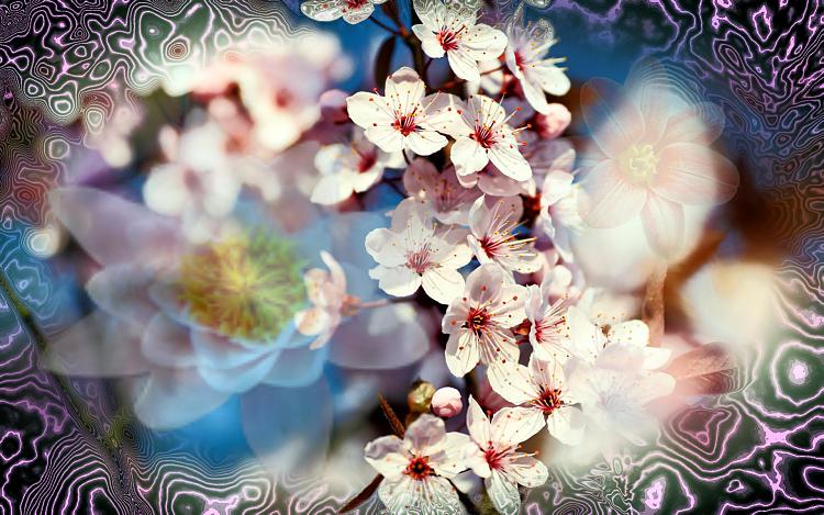 Custom Made Wallpapers-electric-blossoms.jpg