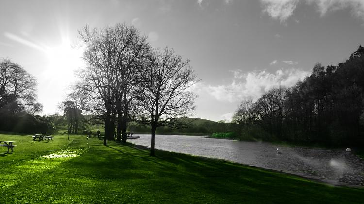 Custom Made Wallpapers-scenic_green.jpg
