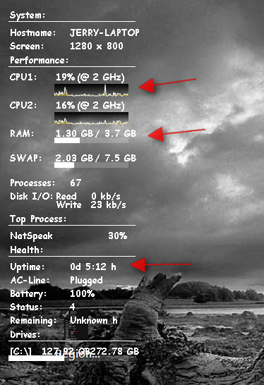 Any System Monitor Gadgets that DON'T have a memory leak?-region.png