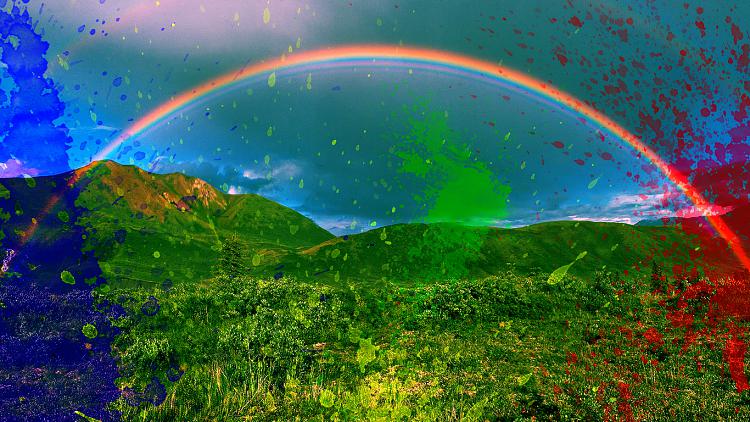 Custom Made Wallpapers-rainbow-wall-01.jpg