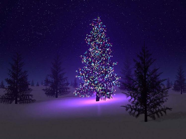 Custom Made Wallpapers-noel_006.jpg