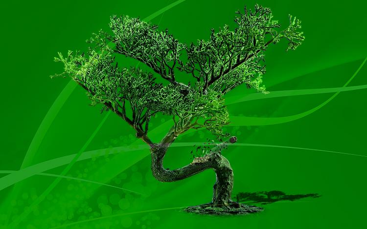 Custom Made Wallpapers-bonsai-manipulation-mod01m.jpg