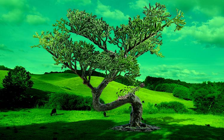 Custom Made Wallpapers-bonsai-manipulation-mod02m.jpg