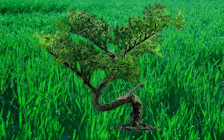 Custom Made Wallpapers-bonsai-manipulation-mod03m.jpg