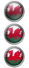 Custom made country flag orbs/icons.-image_872-wales.png