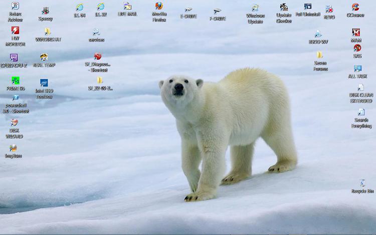 Show us your Desktop-polar-bear-desktop.jpg