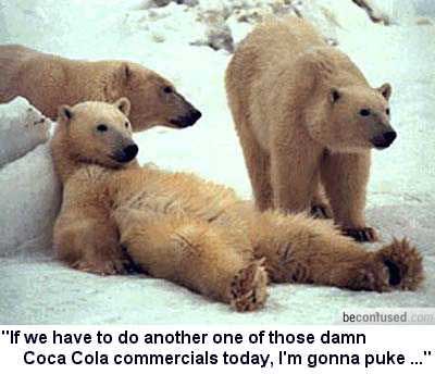 Show us your Desktop-polar-bears-fed-up-doing-coca-cola-commercials.jpg