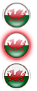 Custom made country flag orbs/icons.-wales.png