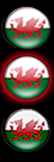 Custom made country flag orbs/icons.-wales-start1.png