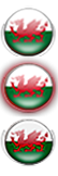 Custom made country flag orbs/icons.-wales-start.png