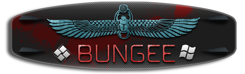 Custom Made Sig and Avatar [11]-bungee.png