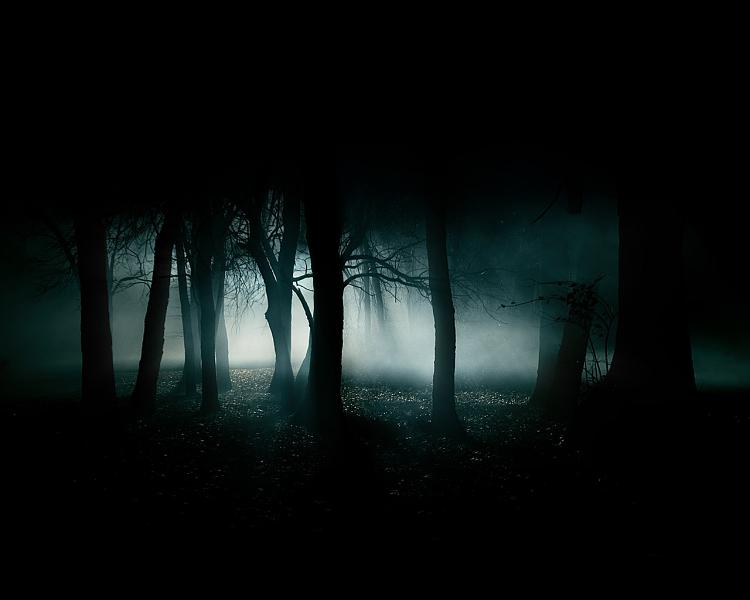 Show us your Desktop-dark-forest-35836-smaller.jpg