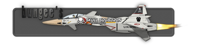 Custom Made Sig and Avatar [12]-bungee-sig3.png