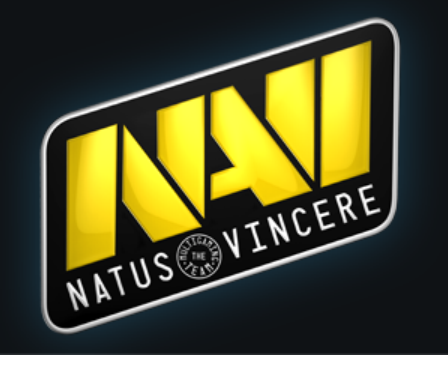 [Request] Logo or Banner for my Team :)-navi.png