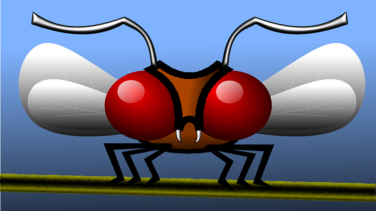Custom Made Sig and Avatar [15]-insect.png