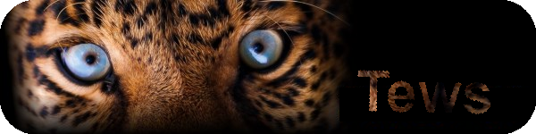 Show us your Desktop 2-tews-leopard.png