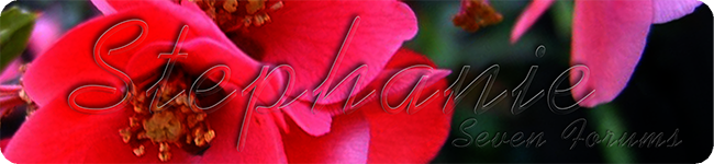 Custom Made Sig and Avatar [16]-spring-flowers-display.png