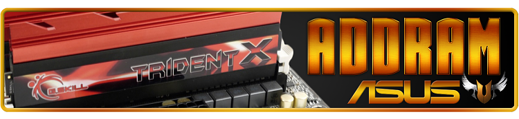 Custom Made Sig and Avatar [16]-addram-trident-asus.png