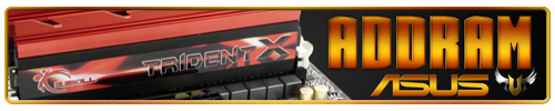Custom Made Sig and Avatar [16]-addram-trident-asus-10f.png