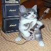 Have your avatar 'Christmastzized'-cat-guitar-s.gif