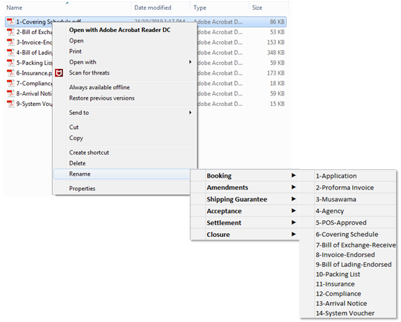 Add New Sub Menu Action on Right Click Menu for Windows 7-file-renaming.png