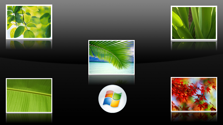 Custom Made Wallpapers-vista-leaves.png