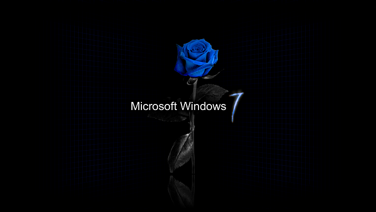 Custom Windows 7 Wallpapers [continued]-blue_rose_wall_7.png