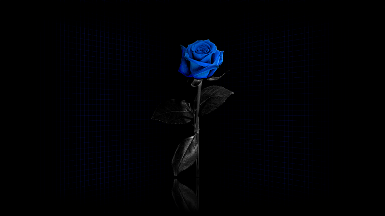 Custom Windows 7 Wallpapers [continued]-blue_rose_wall.png
