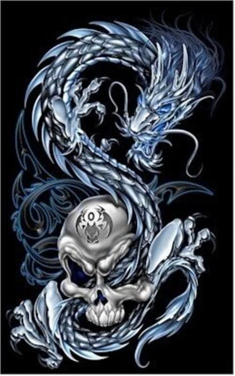 Custom Made Wallpapers-dragon-skull.jpg