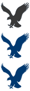 StartOrbz Genuine Creations-american-eagle.png