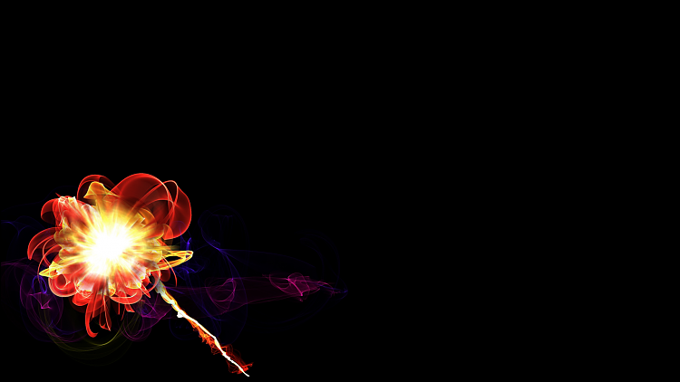 Custom Made Wallpapers-exploding-rose.png