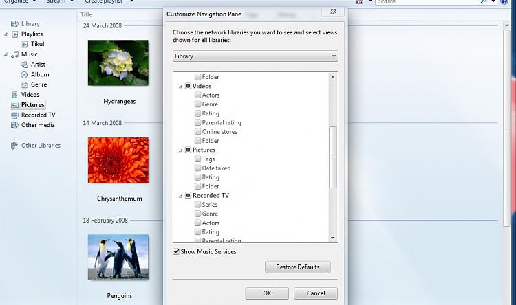 How do I change Windows Media Player Library View Icon Sizes?-2.jpg