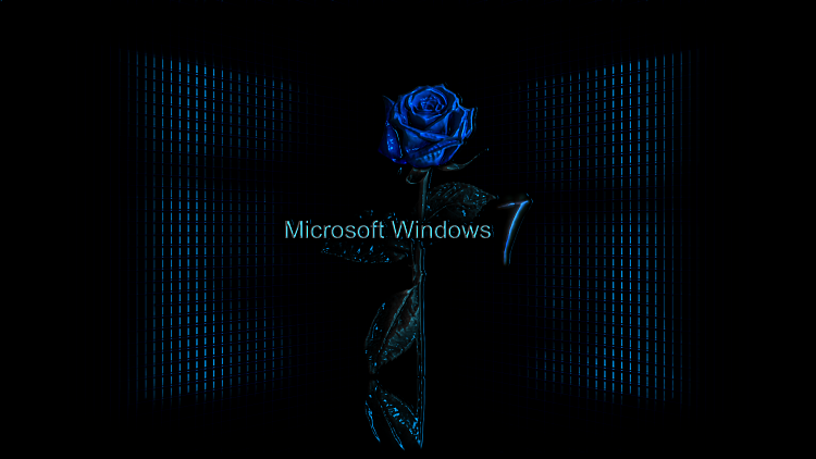 Custom Windows 7 Wallpapers - The Continuing Saga-blue_rose_wall_7dw1.png
