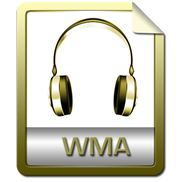 Custom Icons-wma.png