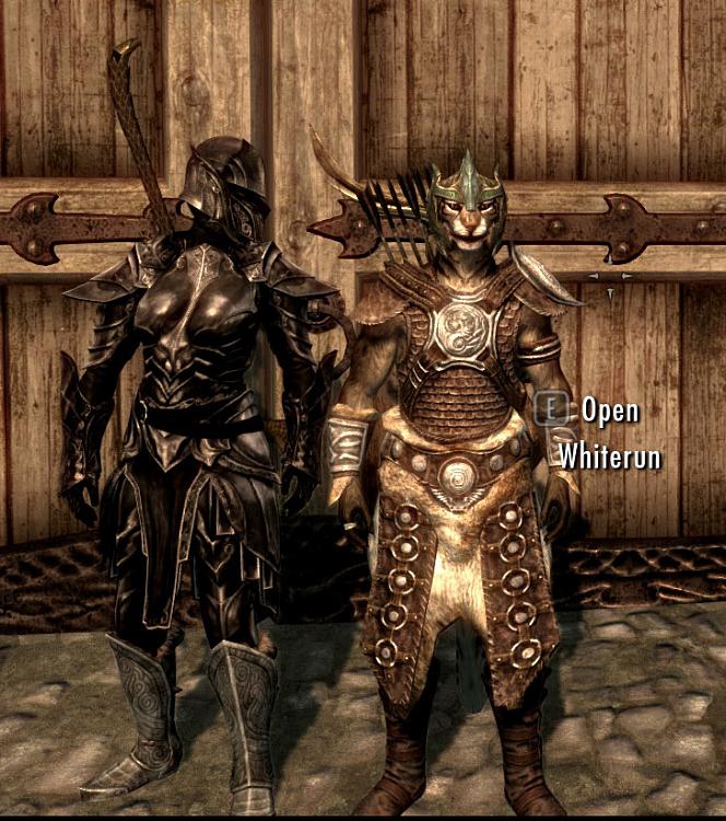 Discuss Skyrim-armour2.jpg