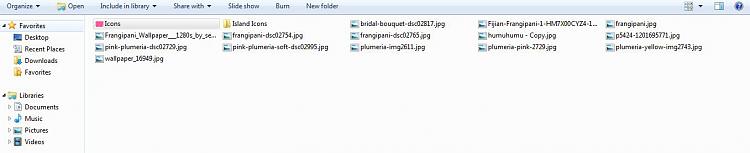 Folder Icons Help-smalliconview.jpg