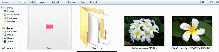Folder Icons Help-largeiconview.jpg