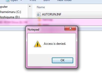 Access denied to autorun.inf-err_01.jpg