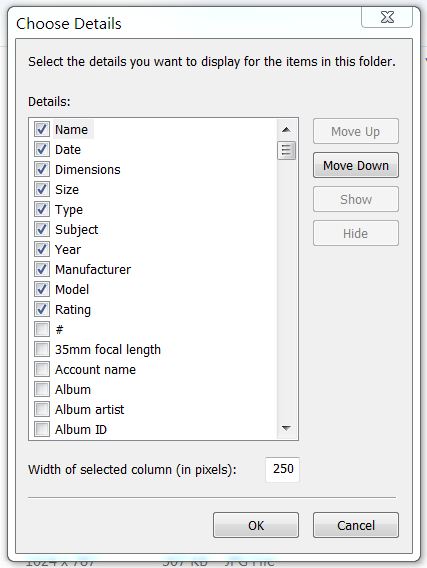 Edit displayed EXIF data in details view-capture2.jpg