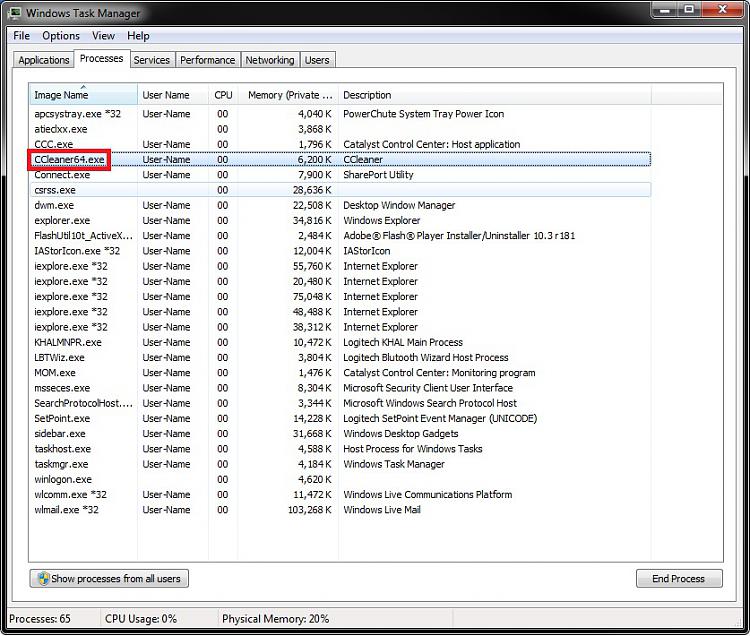 Program Files and Program Files (x86)-task_manager.jpg