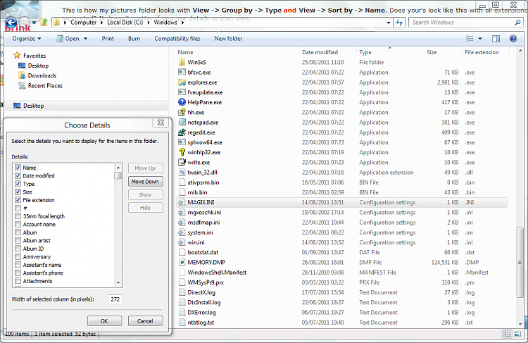 Windows Explorer Column, &quot;Ext&quot;-capture.png