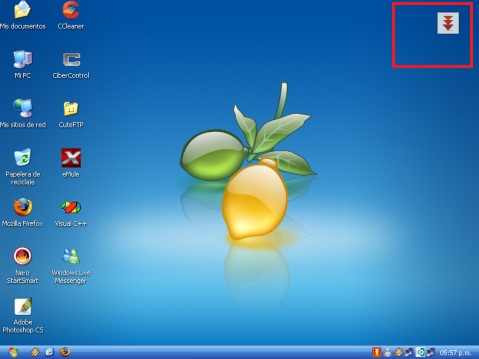 Strange desktop icon?-flashget-portable.jpg