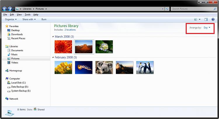 Pictures Library arrange by month looks weird-day.jpg