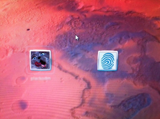 Make the fingerprint logon icon go away?-photo-2.jpg