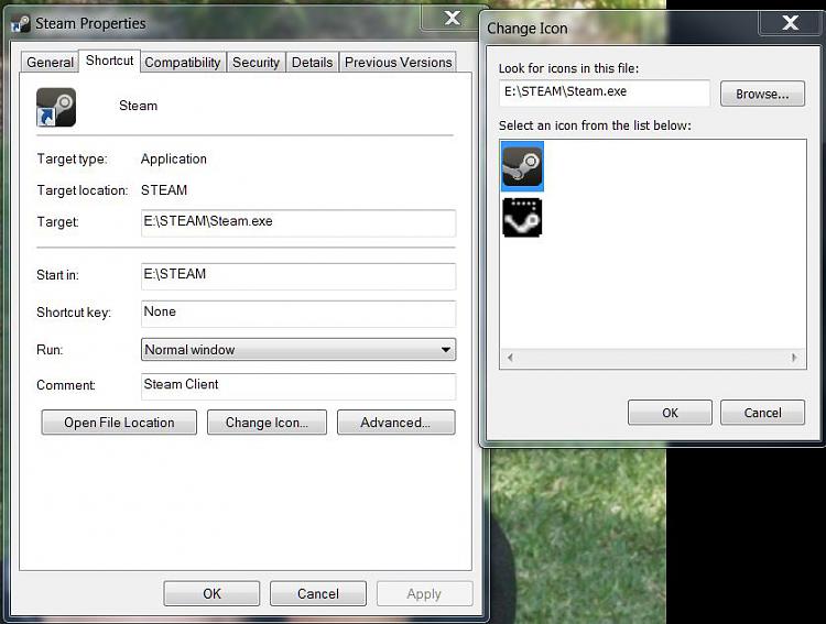 No icon when steam is pinned to taskbar-steam.jpg
