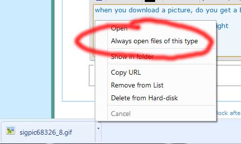 I do not want DL'ed photos to pop-up in a new window. How 2 change?-autoopen.jpg