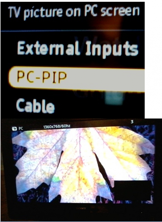PC to HDTV Hook-Up Stalled-capture6665.png