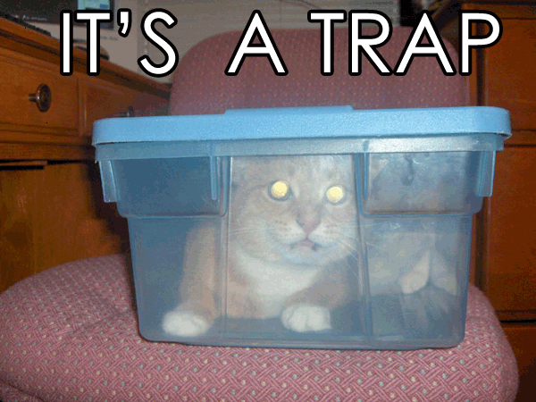 Desktop Icon Display-its-trap-cat.gif