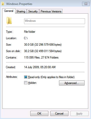 Very BIG size, &quot;windows folder&quot;-windowsfoldersize.png